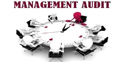 BCom Management Audit Notes Study Material
